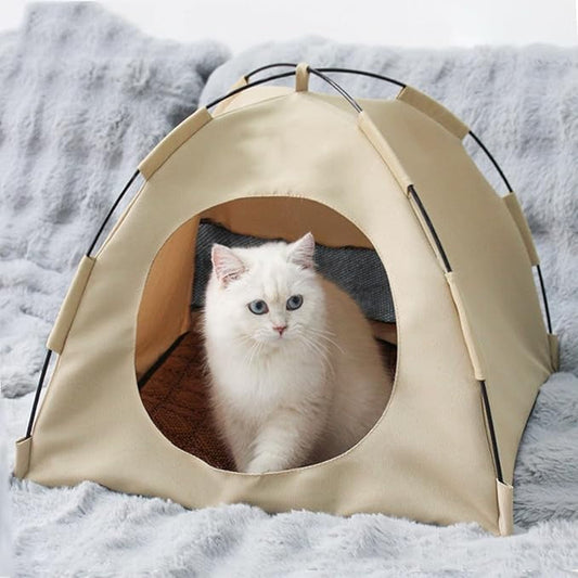 Cat Tent