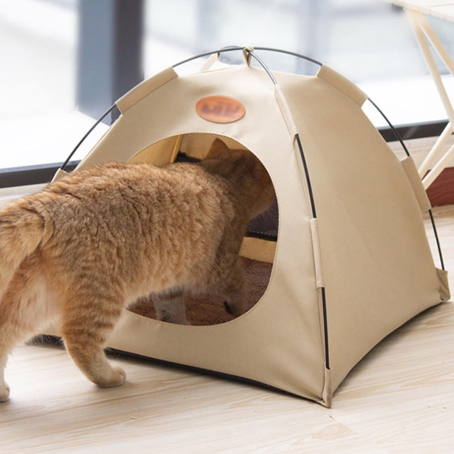 Cat Tent