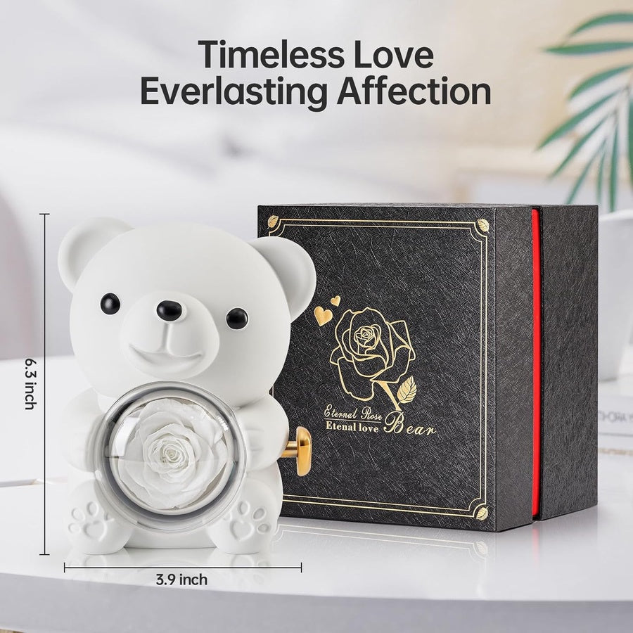 Bear Gift Box