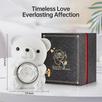 Bear Gift Box