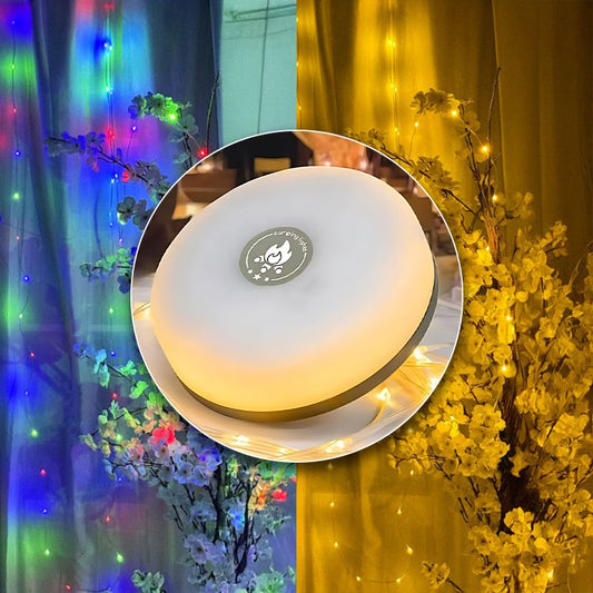 Smart Light Pro
